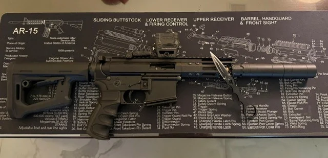 Suppressed AR-9 pistol at Burnt Offerings Defense